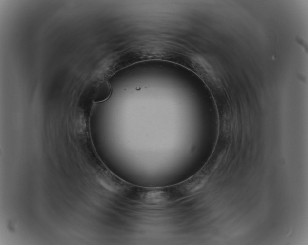 X0000093450173200710121401