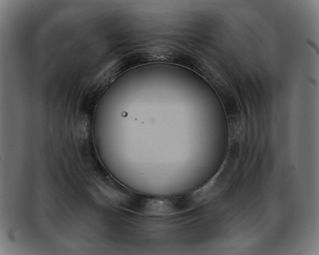 X0000093450174200710121401