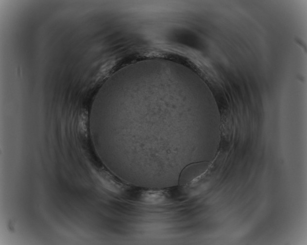 X0000093450175200710121401