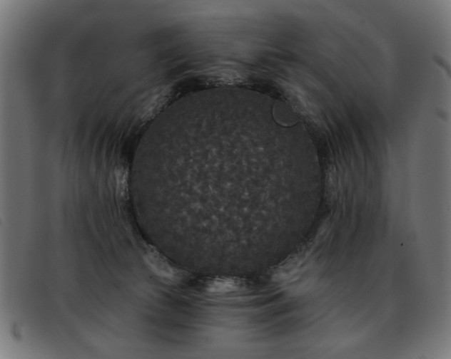 X0000093450177200710121401