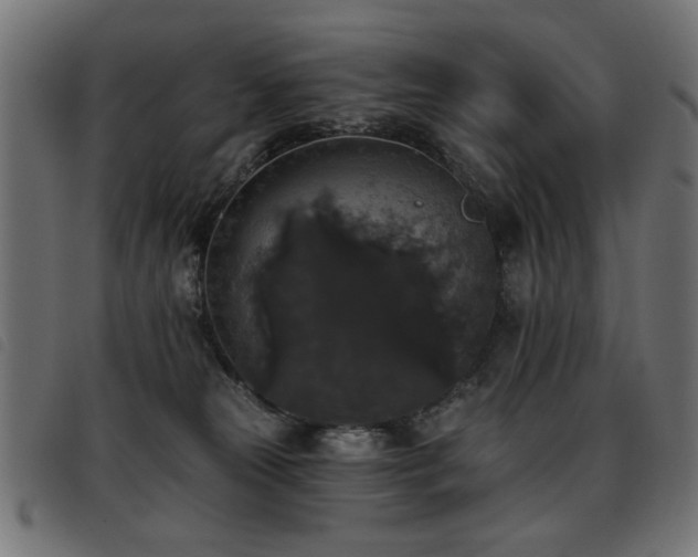 X0000093450181200710121402