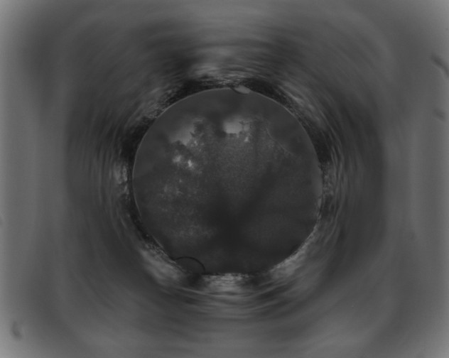 X0000093450182200710121402