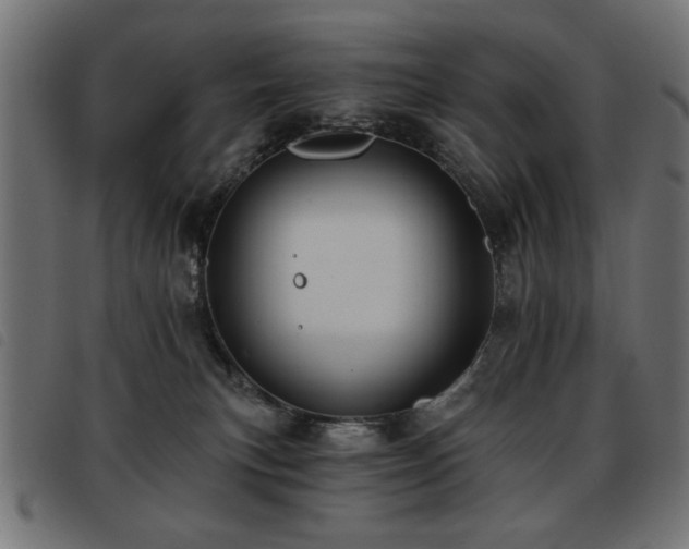 X0000093450183200710121402