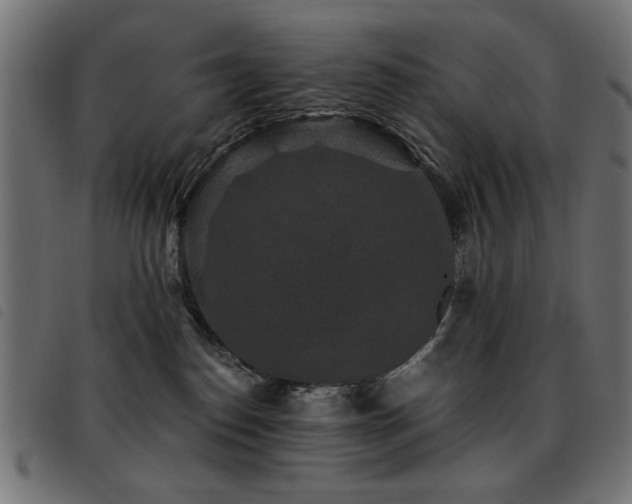 X0000093450186200710121402