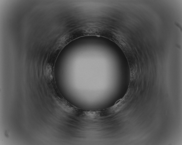 X0000093450187200710121402