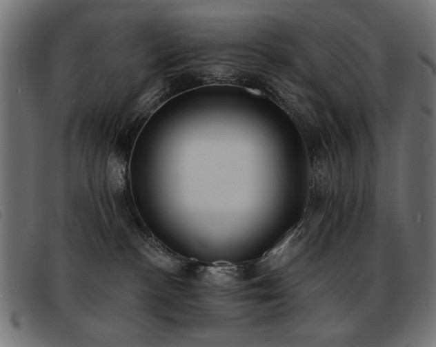 X0000093450188200710121402