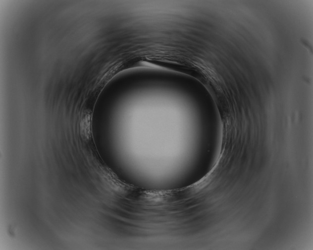 X0000093450190200710121402