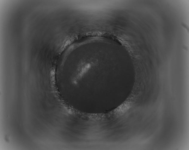 X0000093450192200710121402