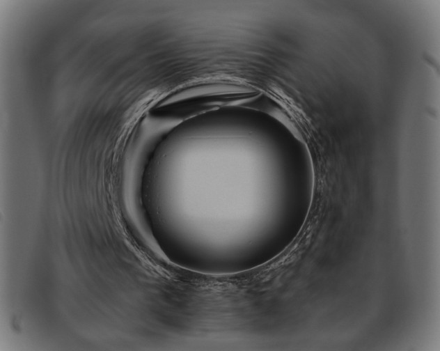 X0000093450193200710121401