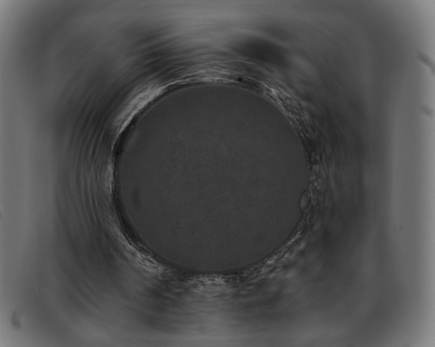 X0000093450194200710121401