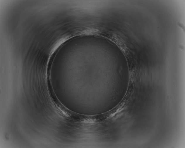 X0000093450196200710121401