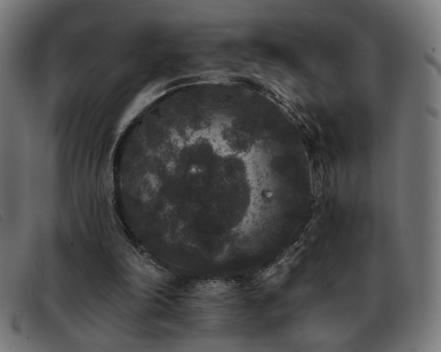 X0000093450198200710121401