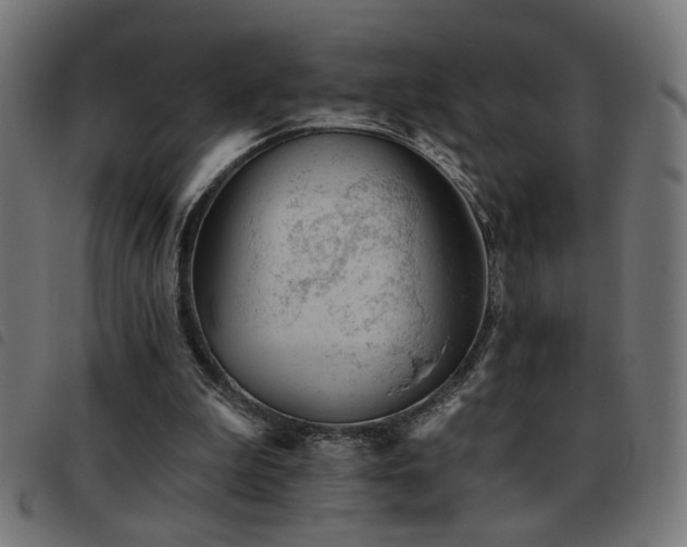 X0000093450199200710121401