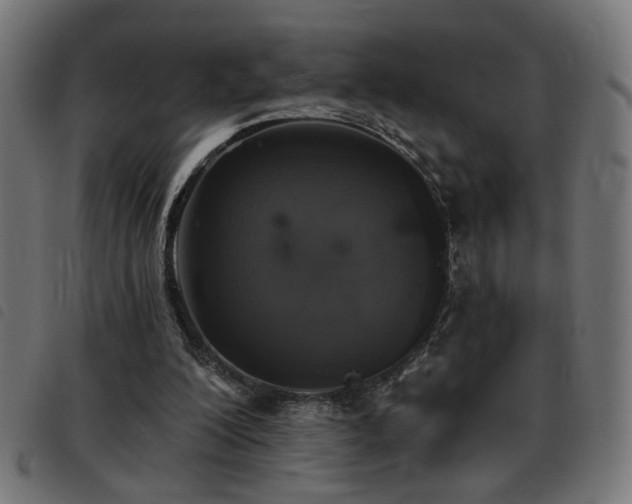 X0000093450200200710121401