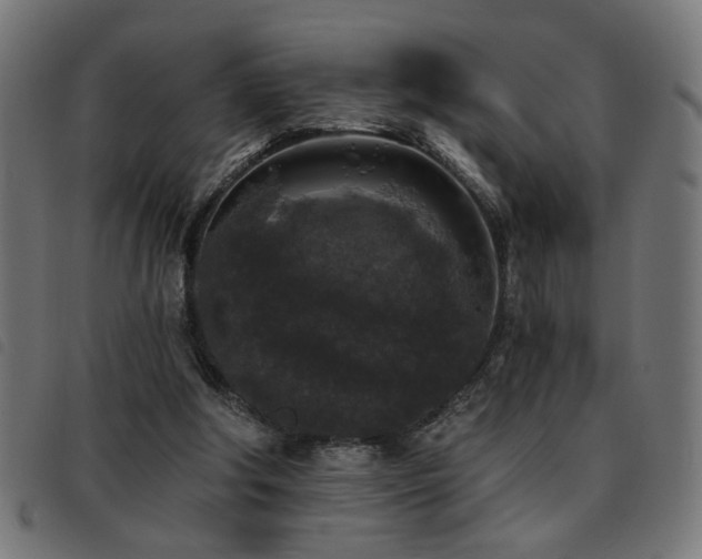 X0000093450202200710121401