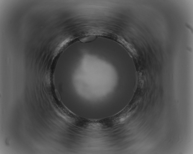 X0000093450203200710121401