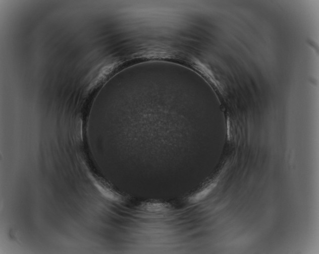 X0000093450205200710121401