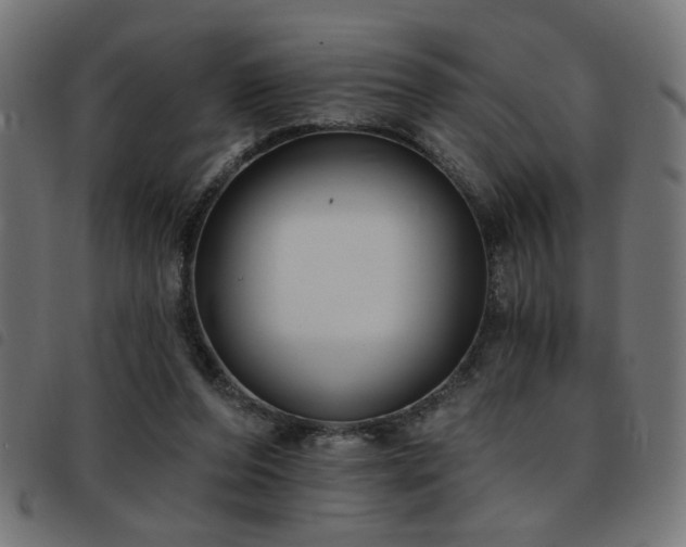 X0000093450208200710121401