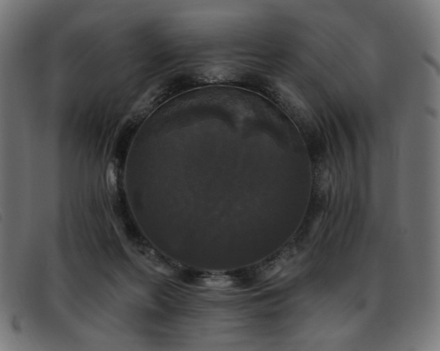 X0000093450214200710121401