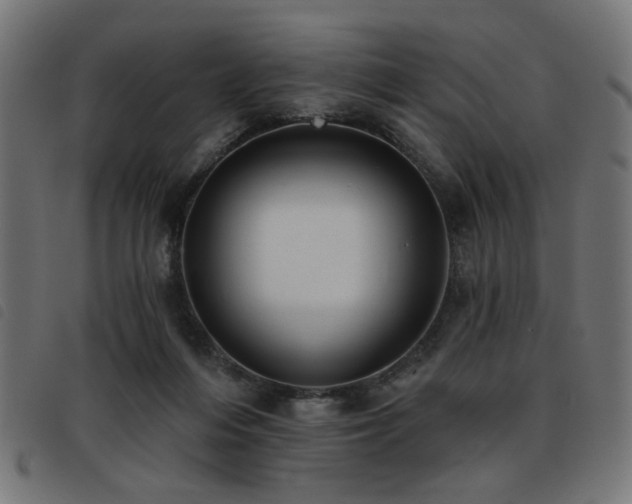 X0000093450216200710121401