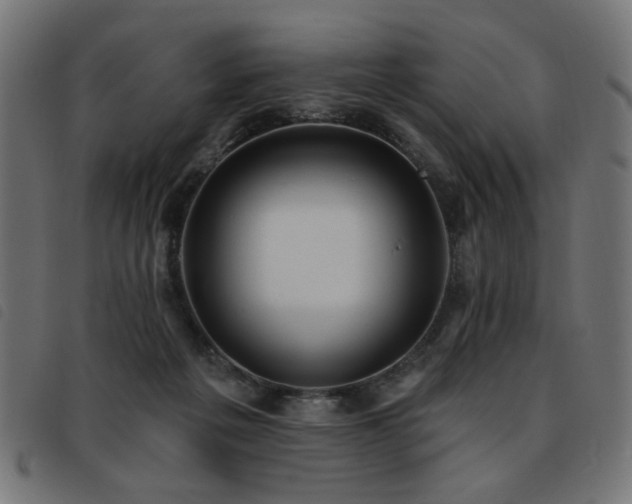 X0000093450217200710121401