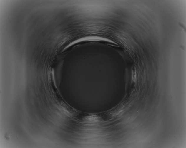 X0000093450219200710121401