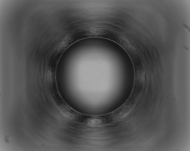 X0000093450220200710121401