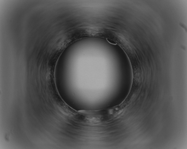 X0000093450221200710121401