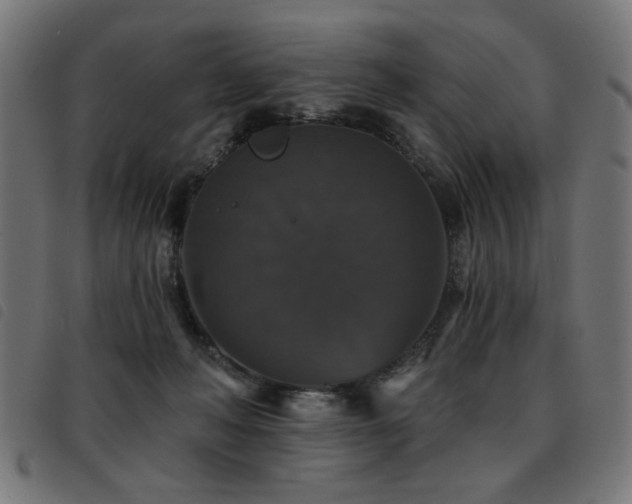 X0000093450222200710121401