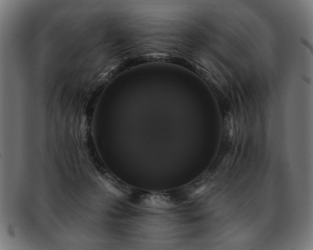 X0000093450223200710121401