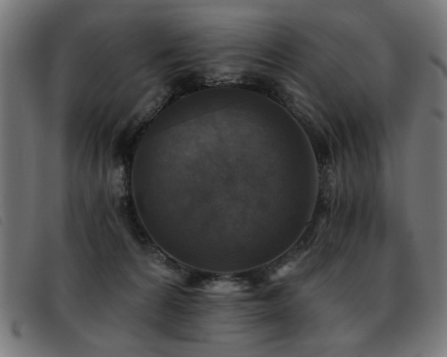 X0000093450224200710121401