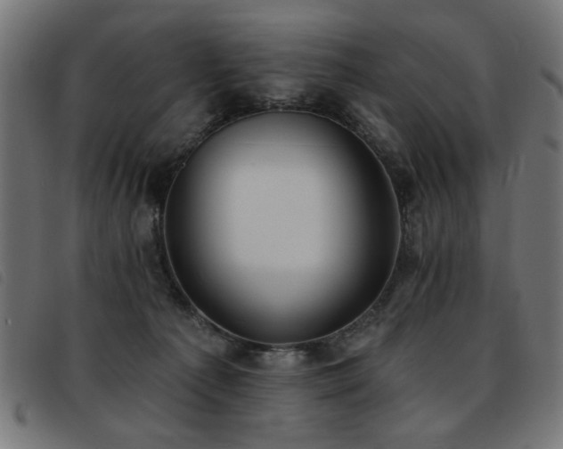 X0000093450225200710121401