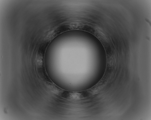 X0000093450226200710121401