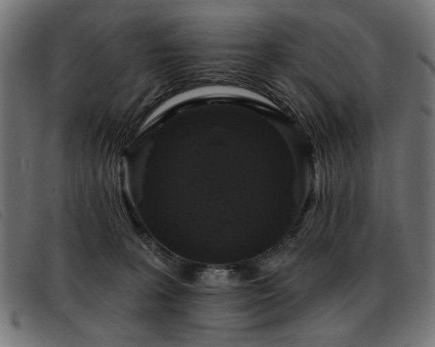 X0000093450227200710121401