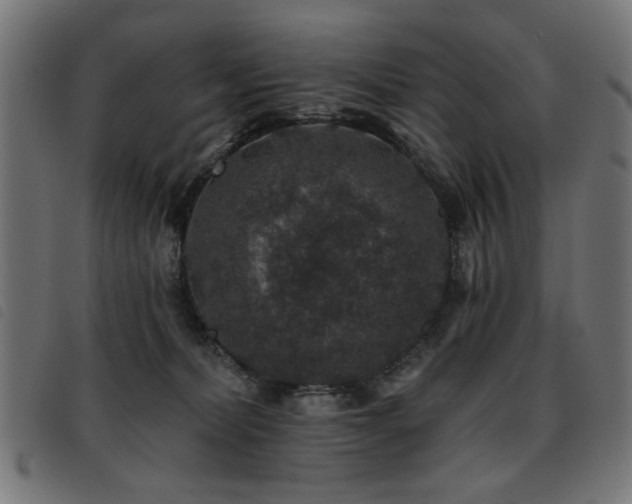 X0000093450228200710121401