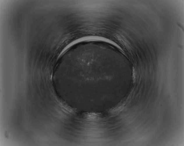 X0000093450229200710121401