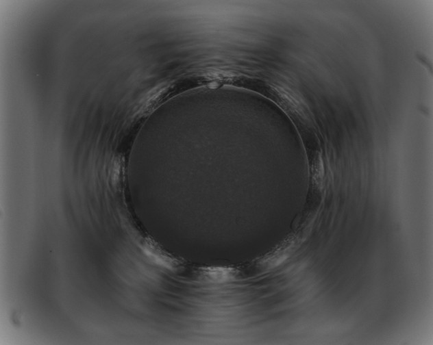 X0000093450233200710121400