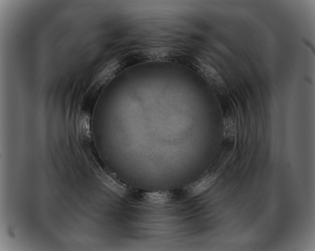 X0000093450238200710121400