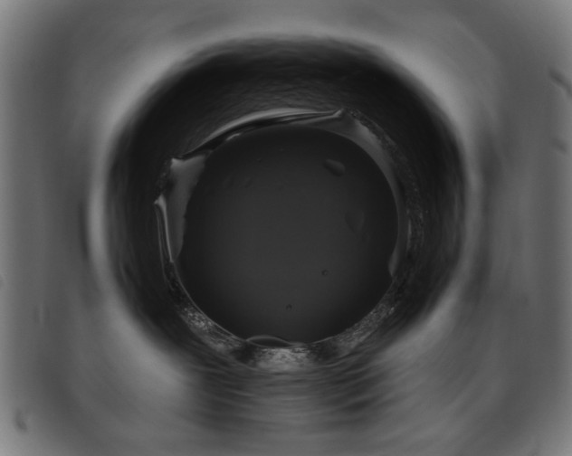 X0000093450239200710121400