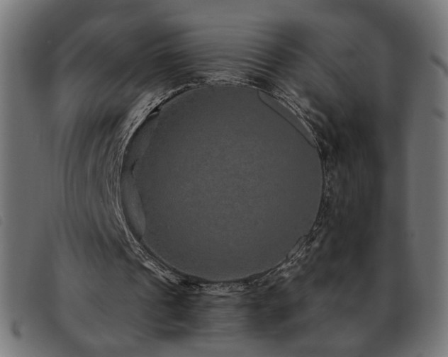 X0000093450241200710121400