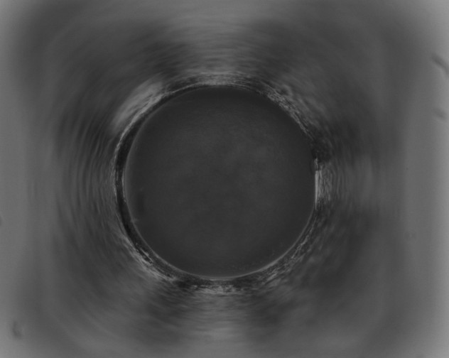 X0000093450243200710121400