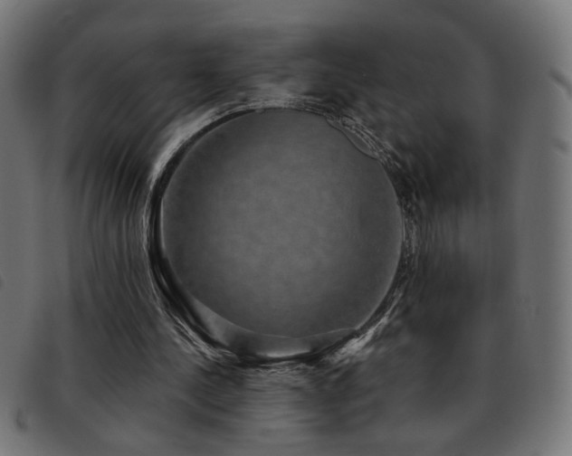 X0000093450244200710121400