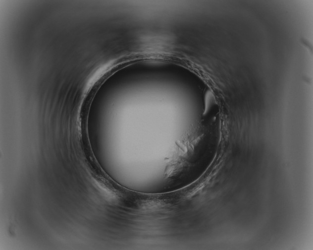 X0000093450246200710121400