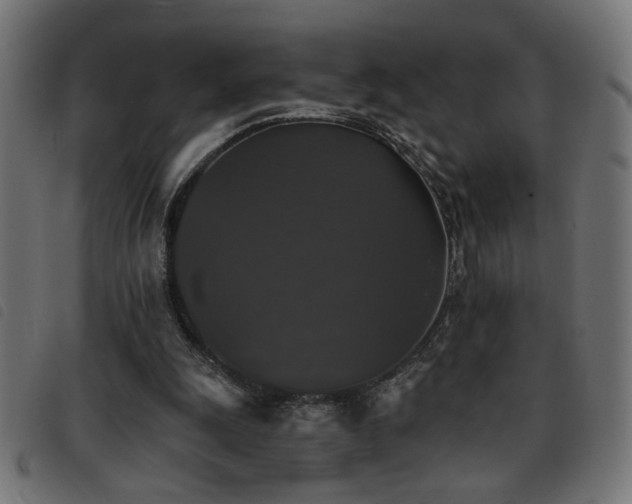 X0000093450247200710121400