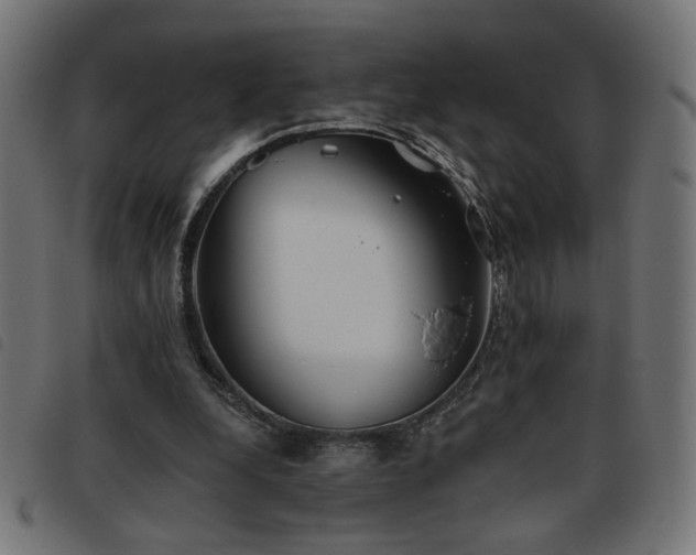 X0000093450248200710121400