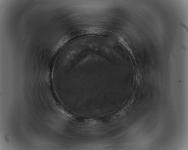 X0000093450249200710121400