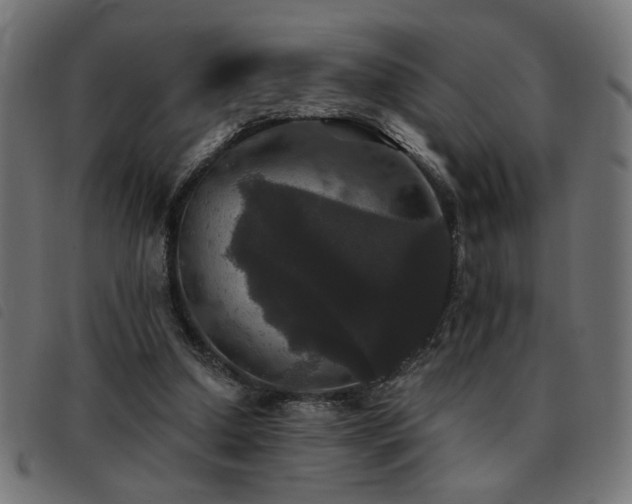 X0000093450250200710121400