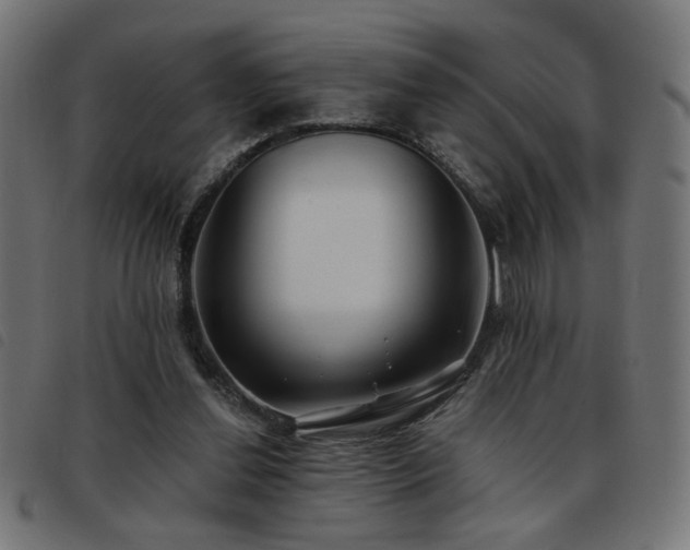 X0000093450252200710121400