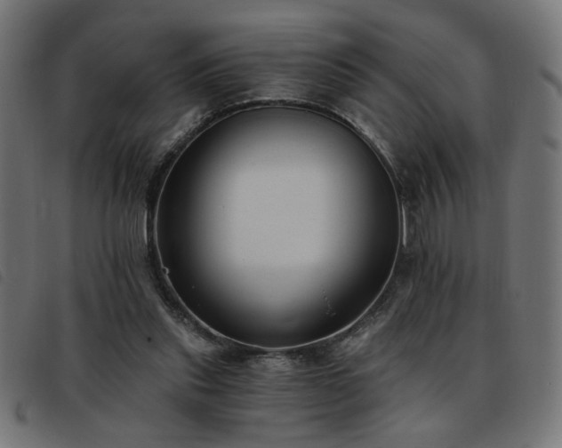 X0000093450253200710121400