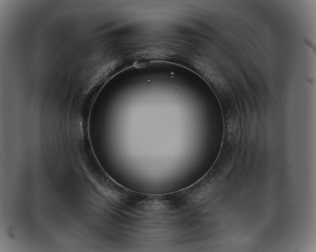 X0000093450254200710121400